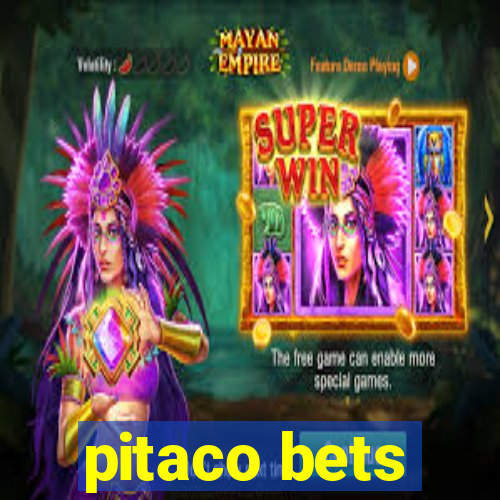 pitaco bets